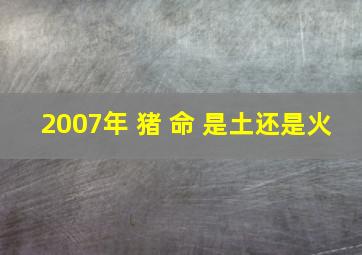 2007年 猪 命 是土还是火